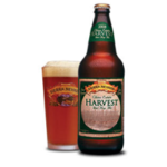 Chico Harvest Estate Ale